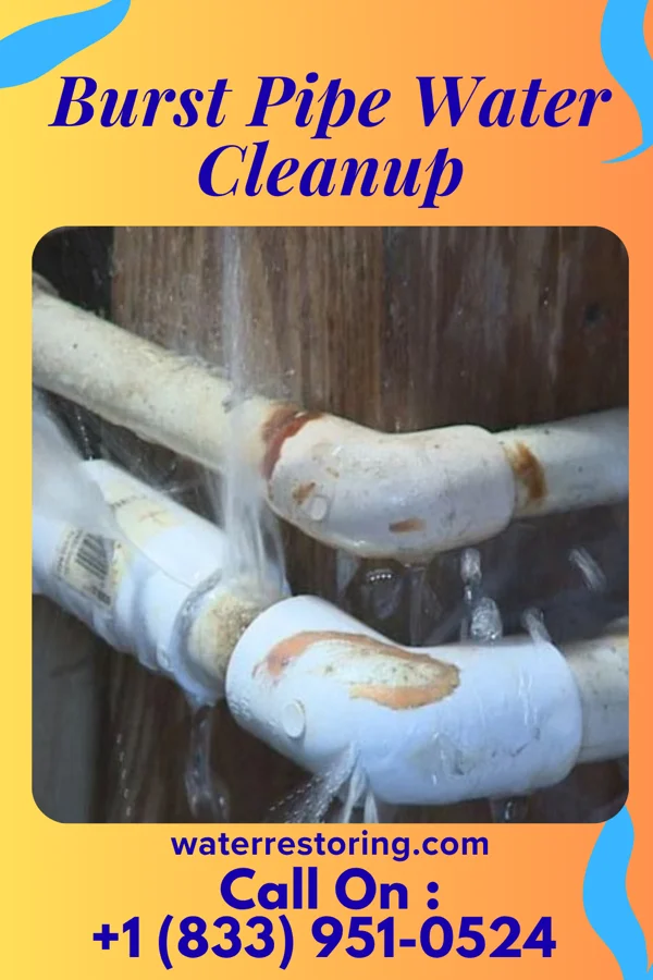 Burst Pipe Water Cleanup in Homer Glen, IL