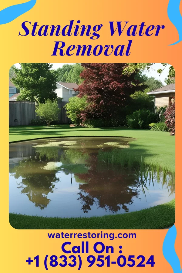 Standing Water Removal in Homer Glen, IL